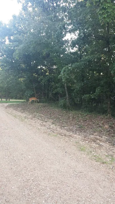 Whitesides Hidden Acres 6