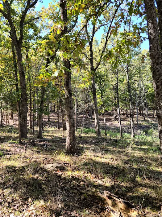 Pomme de Terre loop 428 10