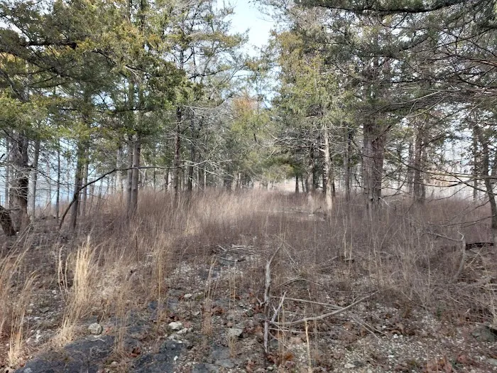 Pomme de Terre loop 428 6