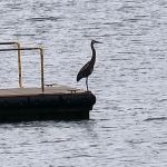 Pittsburg Park USACE