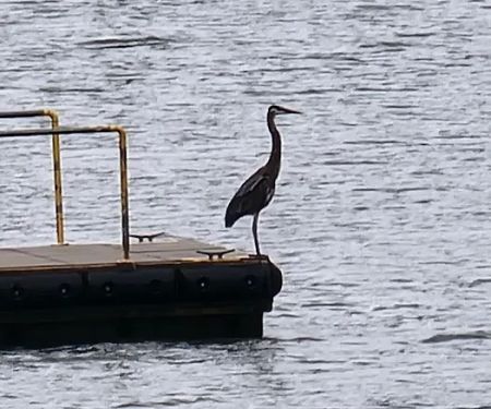 Pittsburg Park USACE