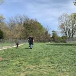 Red Cedar RV Park