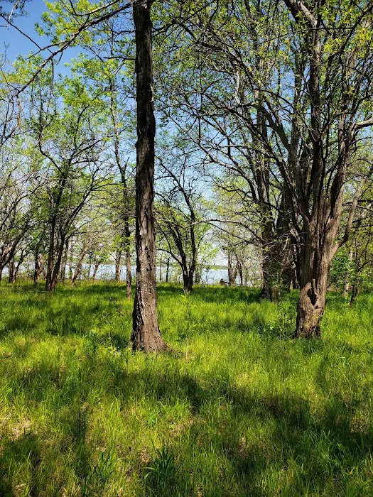 Crappie Cove Campground 9