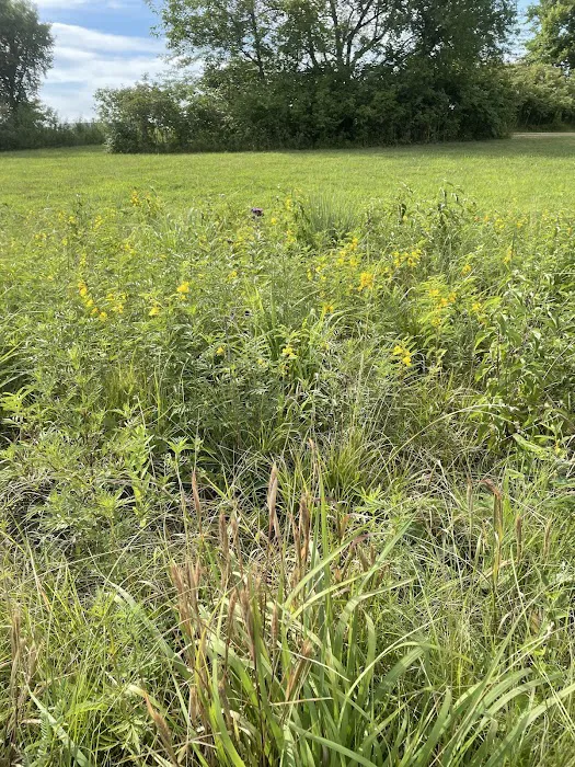 Quail Run Campground 8