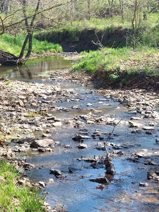 Big Bull Creek Youth Campground 5