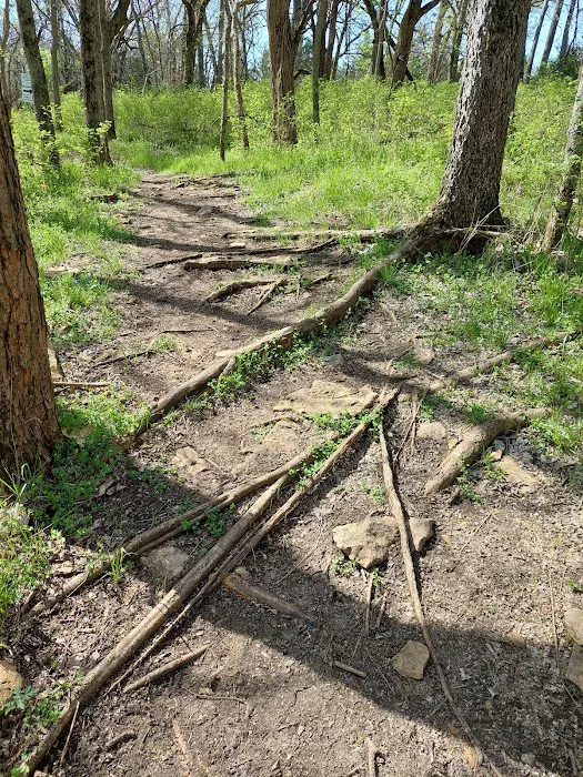 Big Bull Creek Youth Campground 10