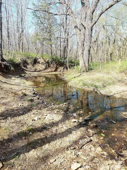 Big Bull Creek Youth Campground 6
