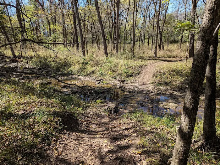 Jacomo Campground 6
