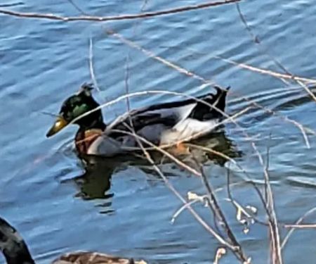 Lakeshore RV & Mobile Home Park