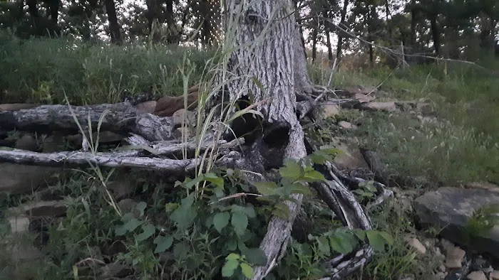 Post Oak Recreation Area 9