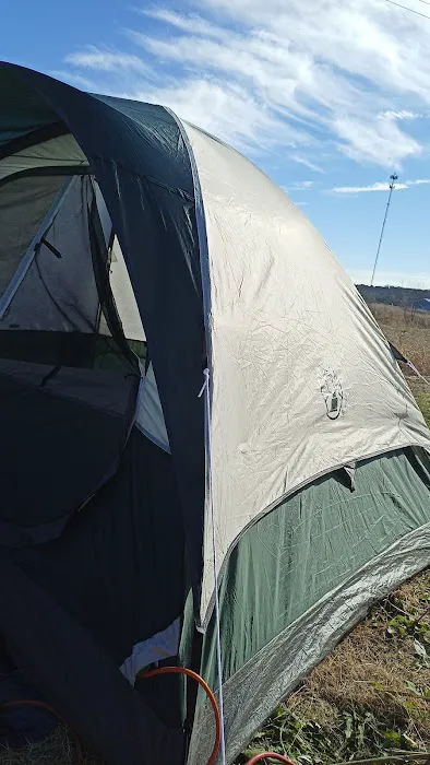 King of the Road Travel Park 1