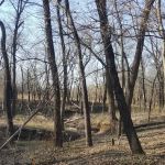 Blue Creek Campground