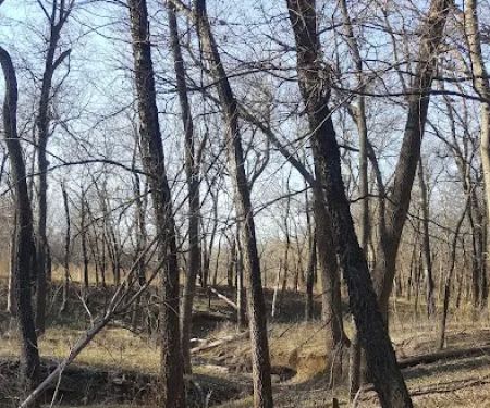 Blue Creek Campground