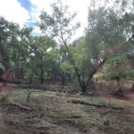 Rock Ridge South Campground