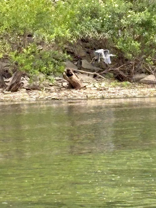 Pomona Outlet Campground 5