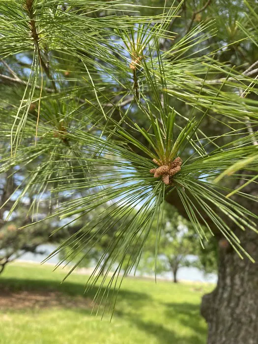 Arrow Rock Park Campground 9