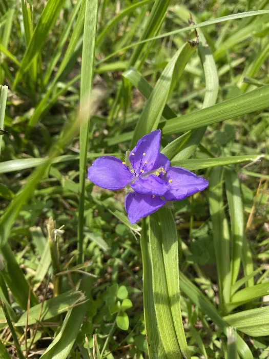 Arrow Rock Park Campground 7