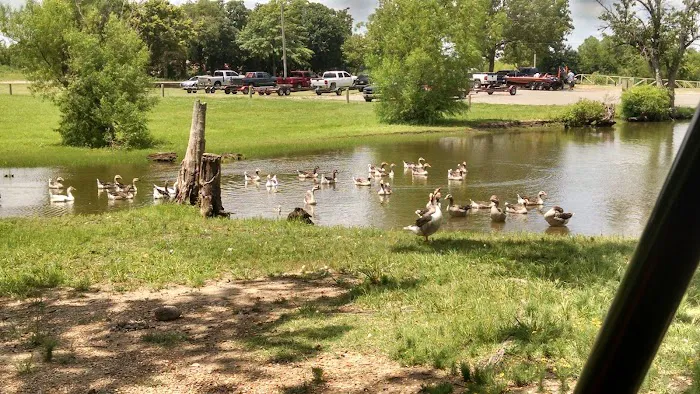 Snowdale Park 2