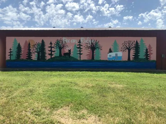 Lake Shore 5