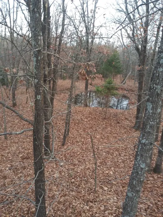 Flat Rock Creek Campground 10