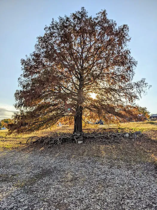 Cherokee Campground 9