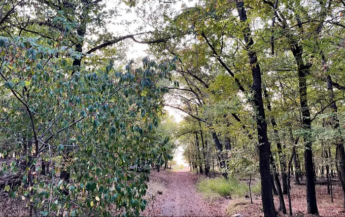 Camp Restoration Point 2