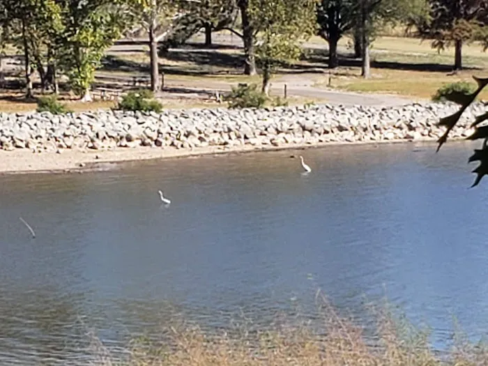 Taylor Ferry South 6