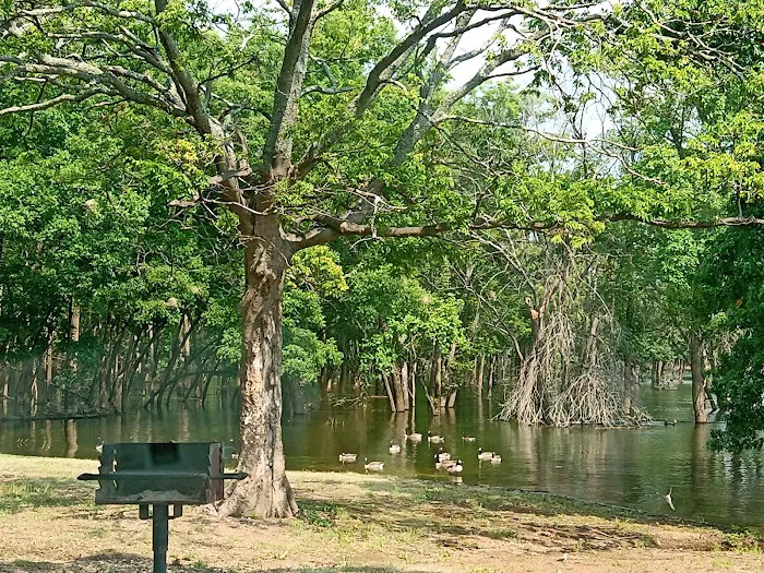 Taylor Ferry South 5