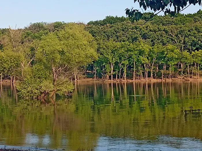 Taylor Ferry South 4