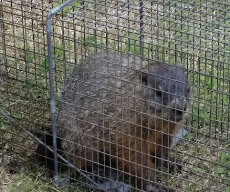 Gibson RV Park by the Lake