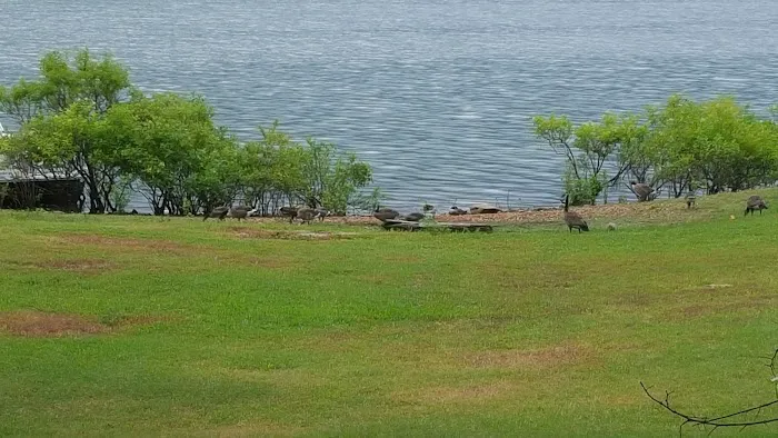 Pettit Bay 8