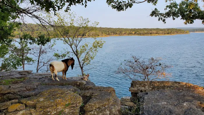 The real Goat Island 6