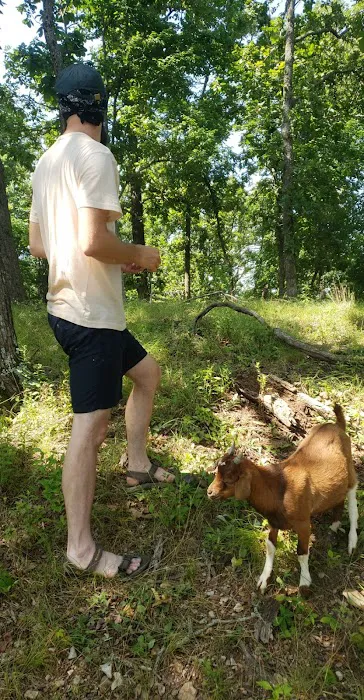 The real Goat Island 4
