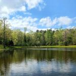 Goose Pond Road Camp