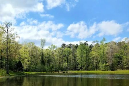 Goose Pond Road Camp