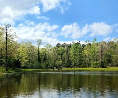 Goose Pond Road Camp