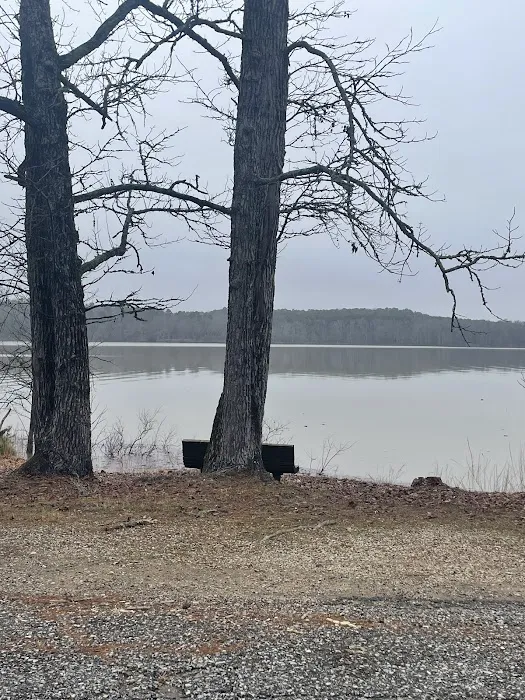 Twin creeks recreation area campground 4