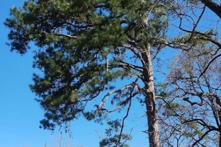 Twin creeks recreation area campground
