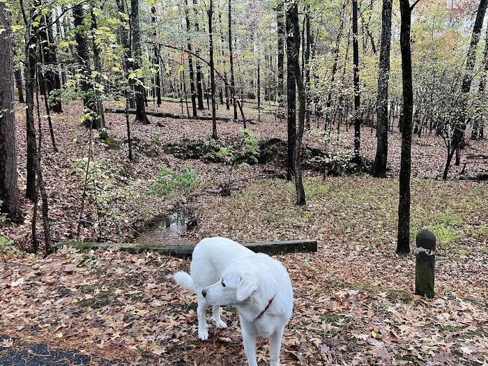 Denby Point Campground 9