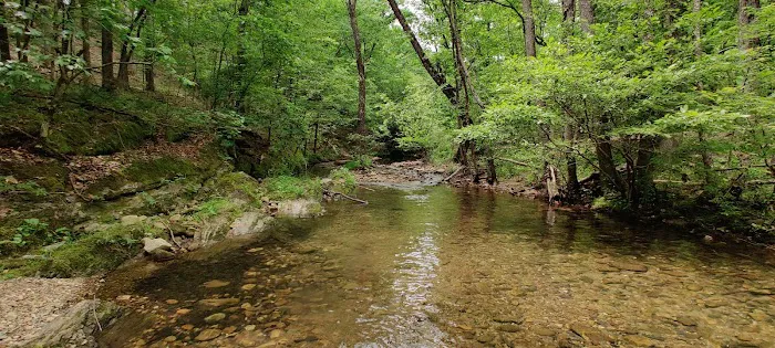 Hickory Nut Mountain Campground 1