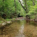 Hickory Nut Mountain Campground