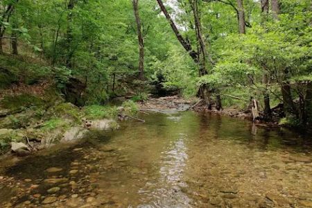 Hickory Nut Mountain Campground