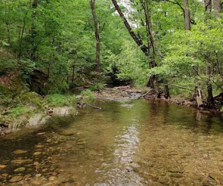 Hickory Nut Mountain Campground