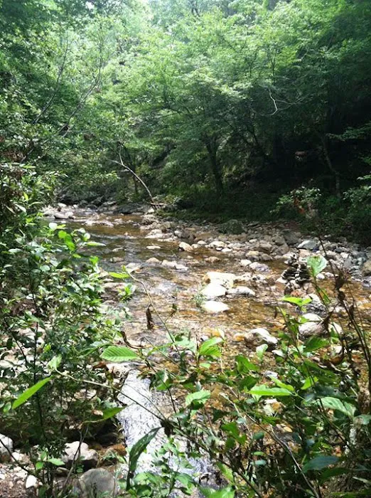 Hickory Nut Mountain Campground 7