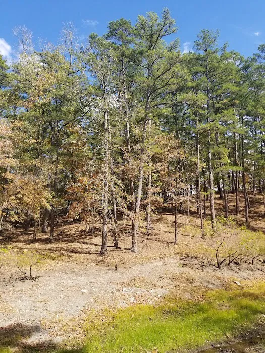 Crystal Springs Campground 4