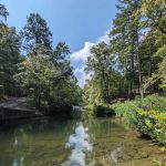 Camp Site 21 @ Charlton Recreation Area