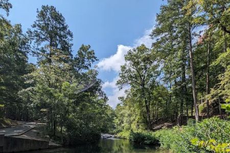 Camp Site 21 @ Charlton Recreation Area
