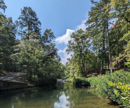 Camp Site 21 @ Charlton Recreation Area