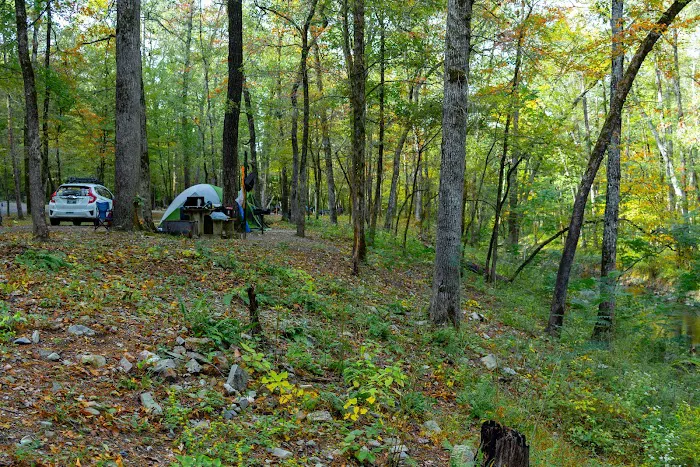 Camp Site C19 8