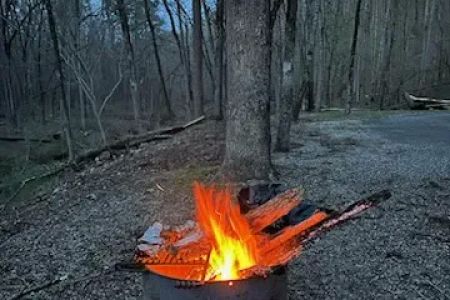 Camp Site C19
